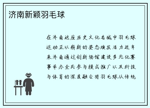 济南新颖羽毛球
